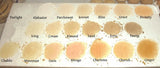 Large Foundation and Veil Combo with Large Vegan Kabuki Brush