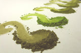 Just Green Collection for Green Eye Shadow Lovers Only Sample Kit