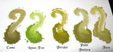 Just Green Collection for Green Eye Shadow Lovers Only Sample Kit